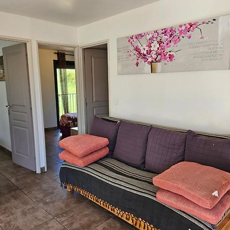 Le Clos Saint Elme Collioure Ruang foto